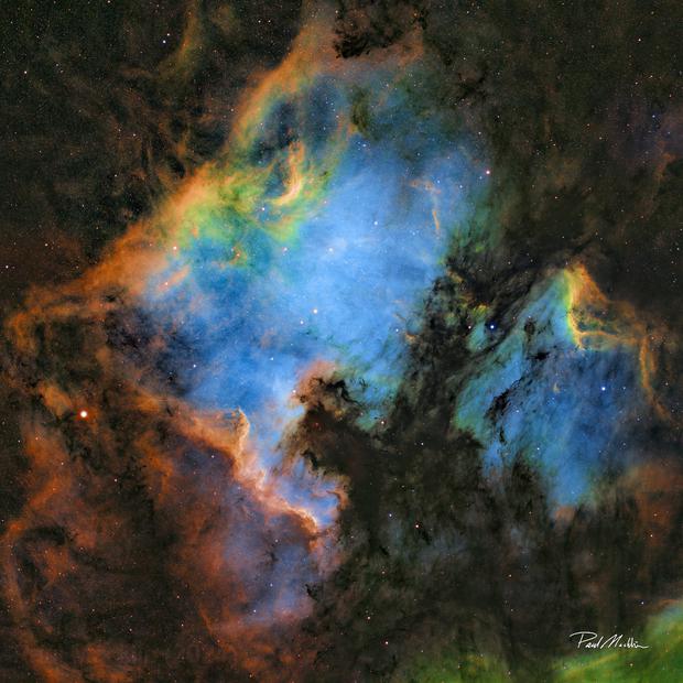 North America Nebula mosaic in false color. c Paul Macklin 2024. Prints https: mathcancer.darkroom.com products nebulas 1552601 Technical Details https: www.astrobin.com enyzcs .